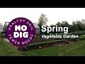 Spring in the no dig garden, Charles shows old and new plantings, harvests and almost no weeds