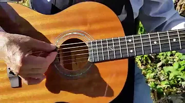 Zager "Easy Play" Parlor size guitar Quick Walkaround