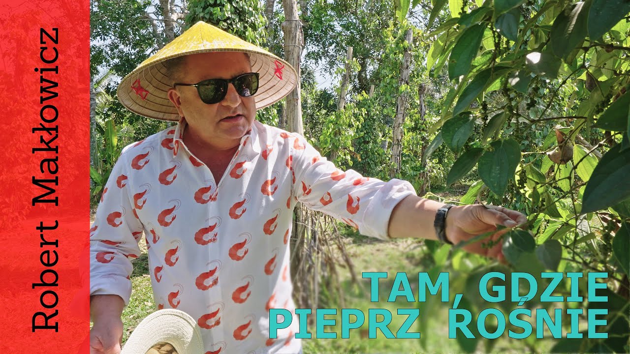 ROBERT MAKŁOWICZ WIETNAM odc.168  „Phú Quốc. Tam, gdzie pieprz rośnie