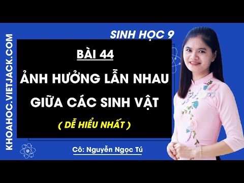 Video Sinh học 9 - Bài 44 - Ảnh hưởng lẫn nhau giữa các sinh... - YouTube