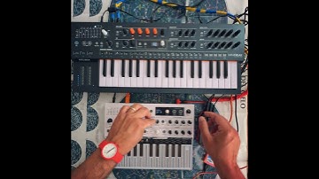 Arturia Brothers: Minifreak & Microfreak in action