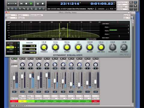 DP8 Dynamic Equalizer