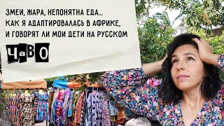 Ответы на часто задаваемые вопросы | Показываю свое хобби