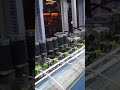 Watch This Machine Strip Wires Like It’s Auditioning for a Tech Talent Show 💃⚡#WireStripping#Factory