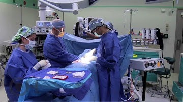 Thyroid Surgery in Children and Adolescents: Pediatric Thyroid Center at CHOP (4 of 9)