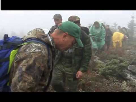 Видео: Родиола от Иремел