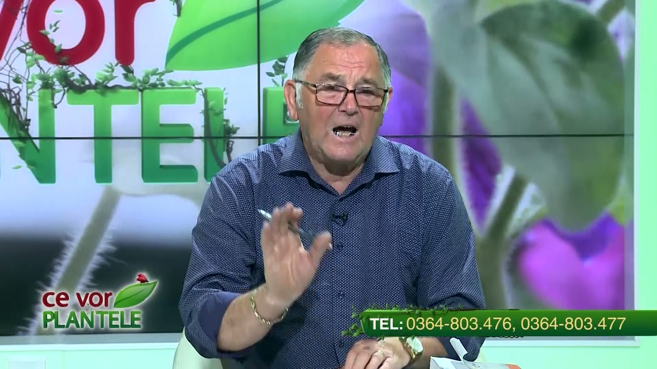 VIDEO Dr. Ing. Horia Ghibu - Cum scăpăm de musculițele albe din serele de legume 1 VIDEO Dr. Ing. Horia Ghibu - Cum scăpăm de musculițele albe din serele de legume YouTube player
