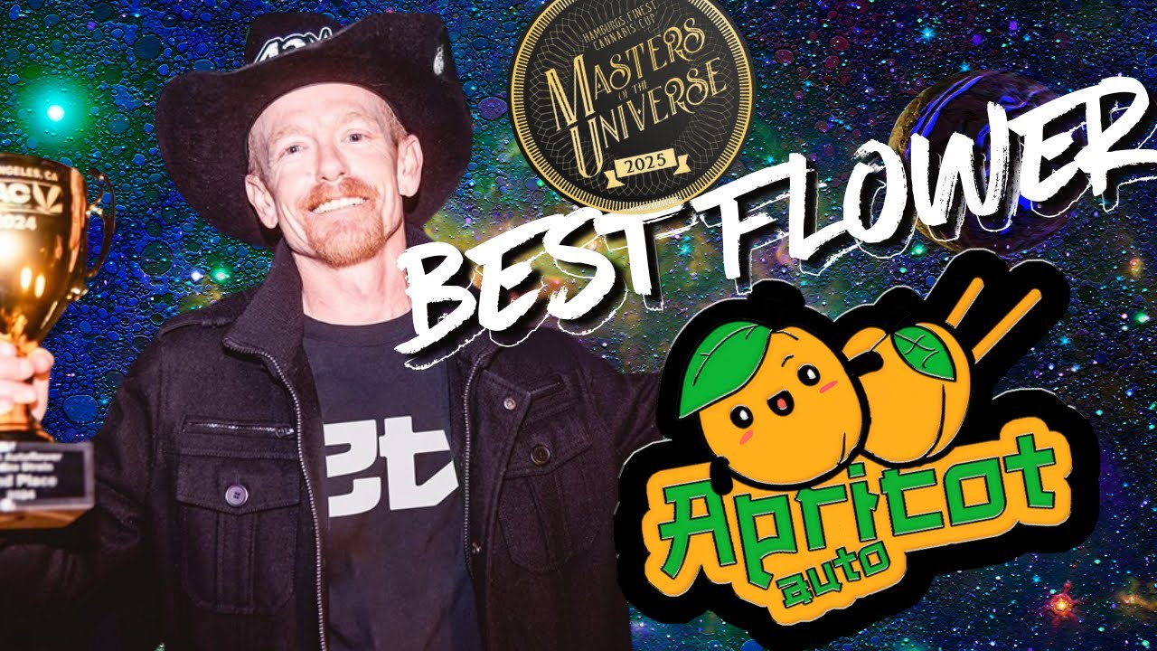 Они смеялись над автоцветами… Потом Чаббс занял первое место с Абрикосовым автоцветом