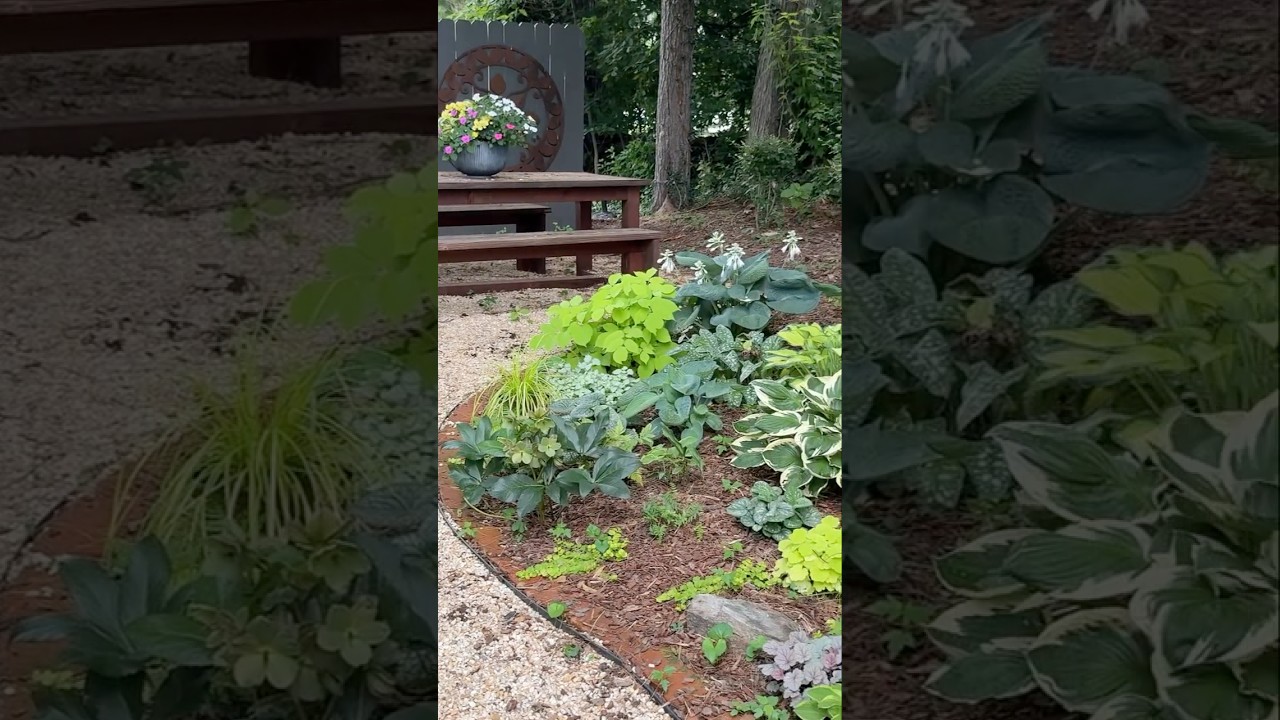 How to create a magical shade garden! 