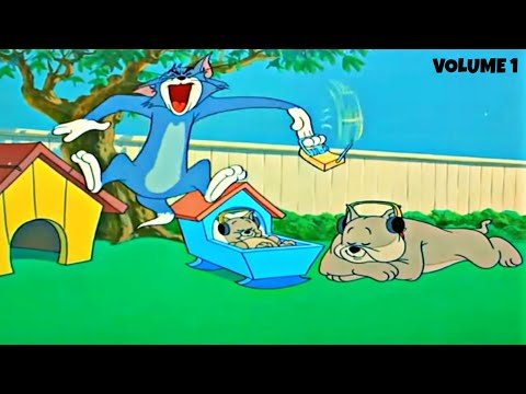 Tom and Jerry (2019) - Top Tom Scream Compilation