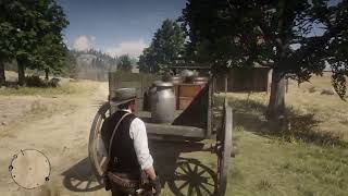 Red Dead Redemption 2 free roam