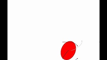 Idealized Body-Vortex Interaction