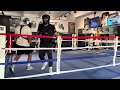 STEELEBOXER GYM ONLINE BOXING/KICKBOXING TRAINING PROGRAM www.steeleboxer.com
