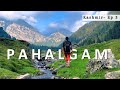 Pahalgam kashmir  most beautiful place in india  mini switzerland  aru valley  betaab valley