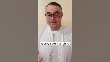 Шиповник сгущает или разжижает кровь