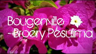 Bougenville - Broery Pesulima HD Lyrics