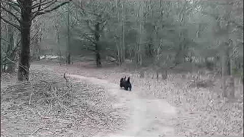 Ed's first video