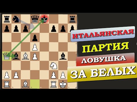 Видео: Ловушки в Шахматах за Белых. Итальянская Партия. Клуб Черный Король. шахматы    Болгария