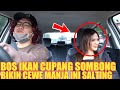 PRANK TAXI ONLINE!! BOS IKAN CUPANG BAPERIN CEWE MANJA