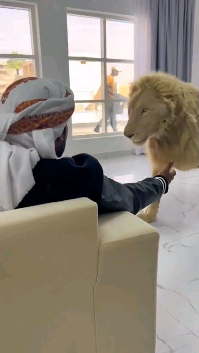 Download lagu Lion Mam (2023)