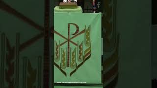 Basilica Of St. Willibrordus Hulst Netherlands Sint Willibrordus Basiliek