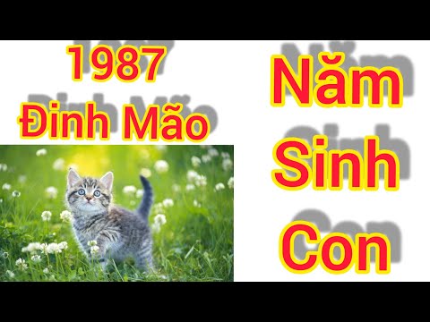 Chồng 1987 Vợ 1987 Sinh Con Năm Nào Đẹp - 1987 Đinh Mão Sinh Con Năm Nào Thì Hợp Tuổi, Hợp Mệnh. Phong Thủy Bản Khanh. #shorts