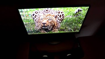 AOC i2369Vm Viewing Angles