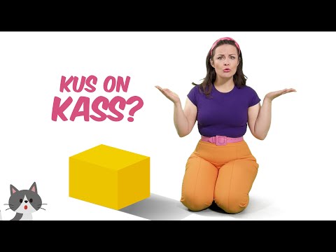 Kus on kass? 😸 | Lastelaulud | LOLALA