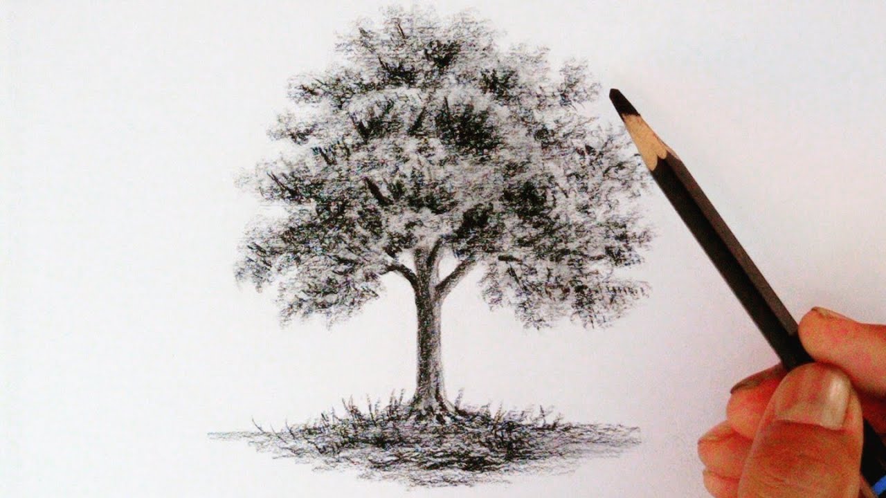 Karen's Art Blog: Project - Drawing Trees