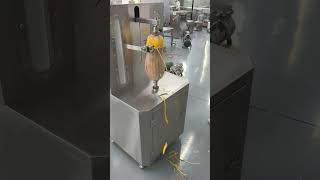 Automatic Fruit Peeling Machine Pumpkin, Mango & Papaya Peeling Solution for Distributors