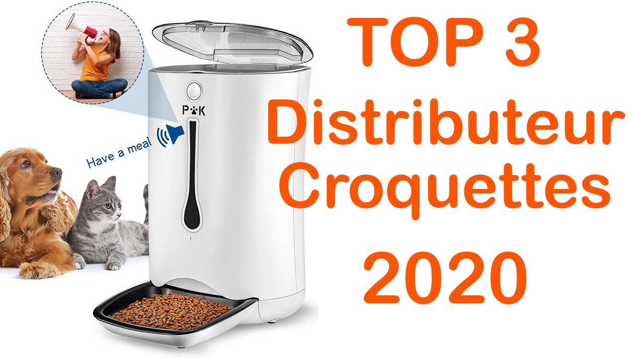 TOP 3 : Meilleur Distributeur de Croquettes Automatique 2020 