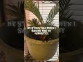 @scottythacker YouTube stay positive