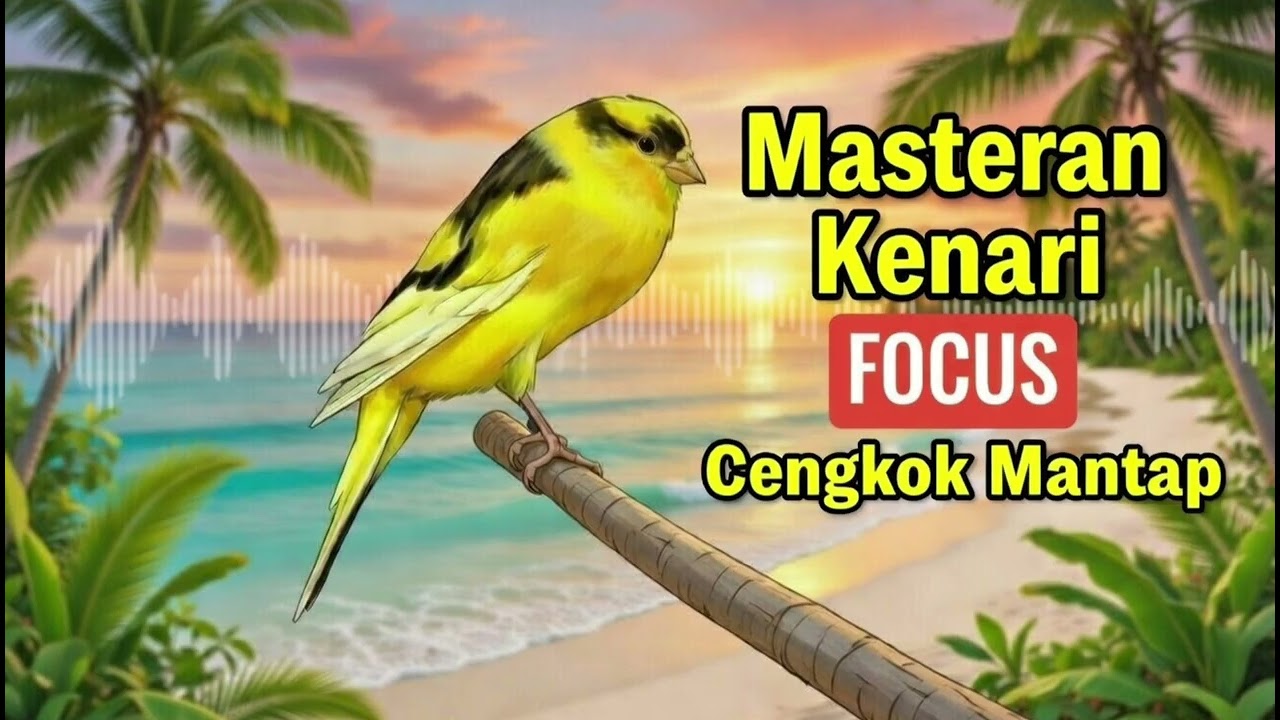 Kenari Cengkok Variatif & Jernih