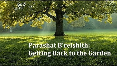 Jerusalem Lights Podcast #84 - Parashat B