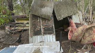 Ben Fogle Return To The Wild S4 New Season Bbc Player