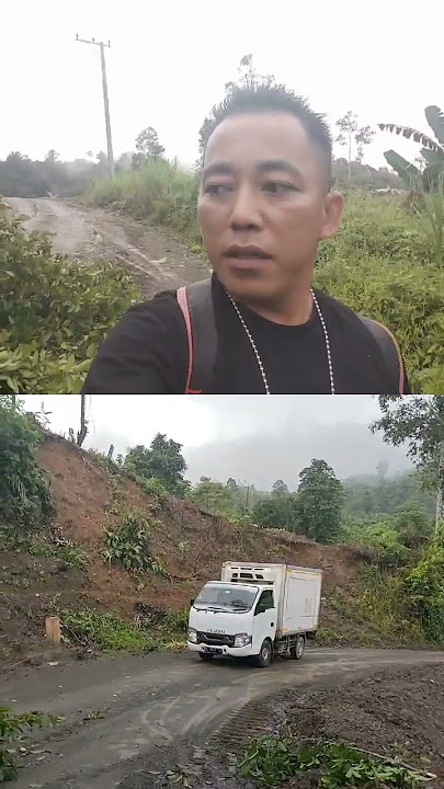 pohon tumbang di kecamatan Kalumpang, mobil ngga bisa lewat