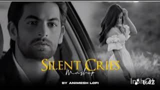 Silent Cries Mashup | Tum Hardafa Ho x Naina | Animesh Lofi | Heartbreak Chillout 2025