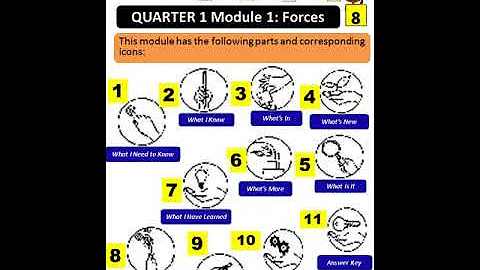 LEARN WITH TEACHER CJ - S8-Q1-M1