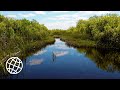 Everglades National Park, Florida, USA in 4K