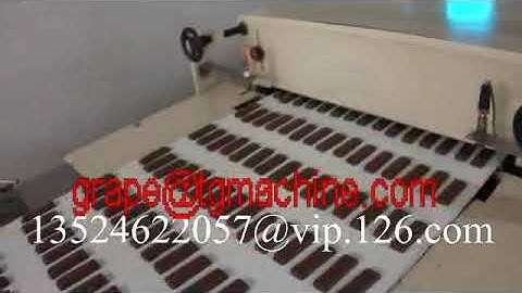 chocolate enrobing machine video