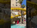 Watch This Before You Stay at Golden Nugget Hotel &amp; Casino in Las Vegas! #lasvegas #casino #vegas