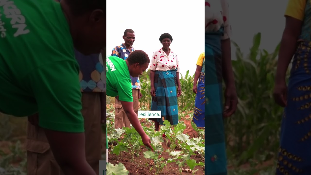 Why are Concern at COP 30?