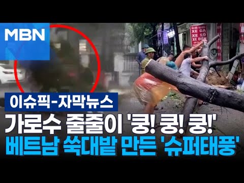 [자막뉴스] 가로수 줄줄이 &amp;#39;쿵! 쿵! 쿵!&amp;#39;…베트남 쑥대밭 만든 슈퍼태풍 &amp;#39;야기&amp;#39; | 이슈픽