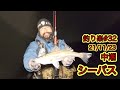 釣り楽#32シーバス46cm【21/11/23】中潮