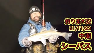 釣り楽#32シーバス46cm【21/11/23】中潮