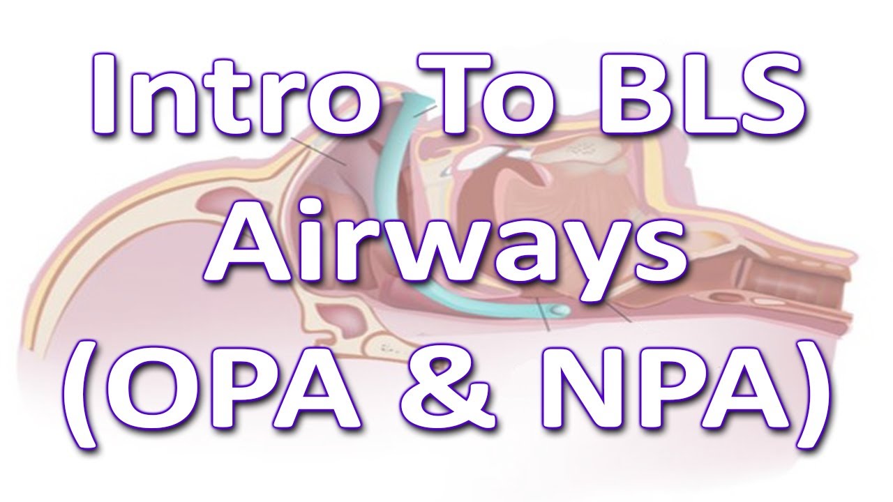 Airway Adjuncts OPA NPA Something In About 5 Minutes Medic Airway Adjuncts OPA NPA Something In About 5 Minutes Medic