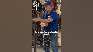 Bit And Head Carriage Breakdown! | The Horse Guru-Michael Gascon