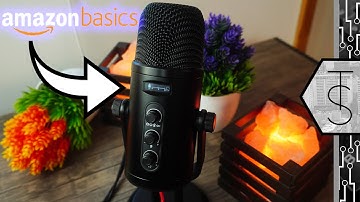 The Mic You Never Knew You Needed | AmazonBasics Professional USB Mic Review/Test!