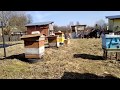 Пчеловодство с нуля - Эстафета пчеловодов