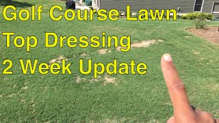 GOLF COURSE LAWN Care 2 Week TOP DRESSING Update